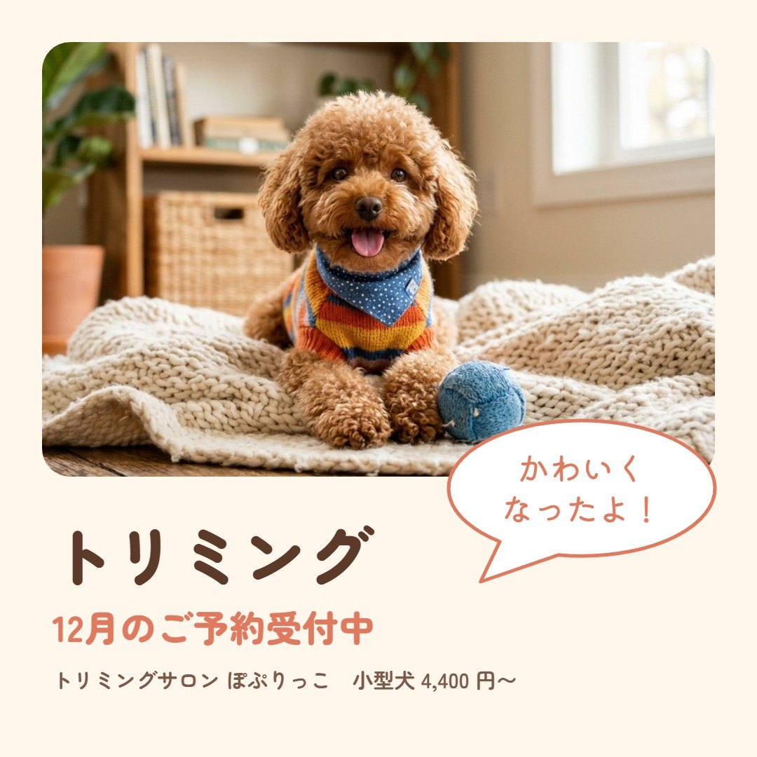 テマデザで作った見本: ペットサロンの案内(インスタの投稿)