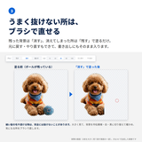 ブラシで直す画像を表示